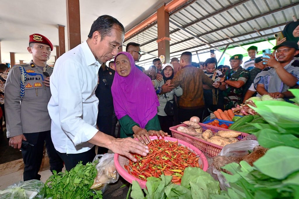 Kunjungi Pasar Sebukit Rama, Jokowi: Harga Baik dan Stabil