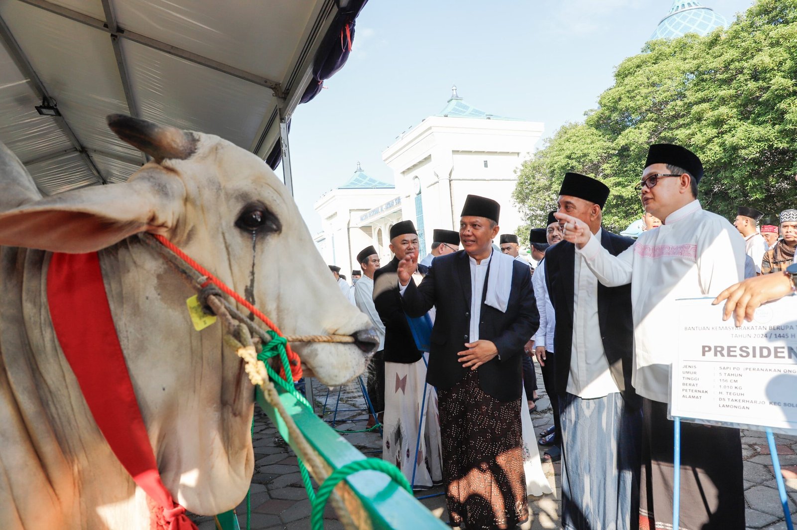 Jumlah Hewan Kurban Jatim Meningkat, Pj Gubernur Adhy Serahkan Kurban Sapi dengan Berat 950 kg