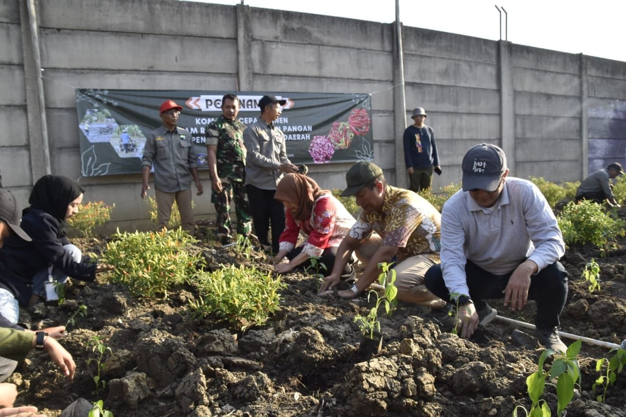 Harga Meroket, Pemkot Surabaya Manfaatkan Lahan BTKD dan Hutan Raya untuk Tanam Cabai