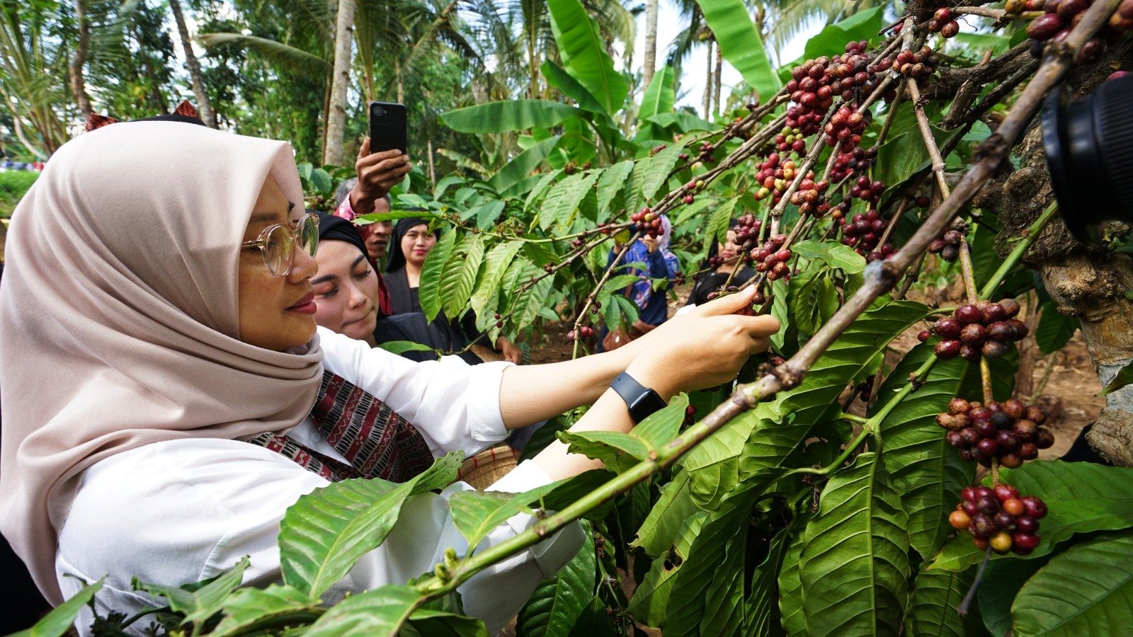 Kemenkum HAM Verifikasi Kopi Banyuwangi untuk Dapatkan Status Indikasi Geografis