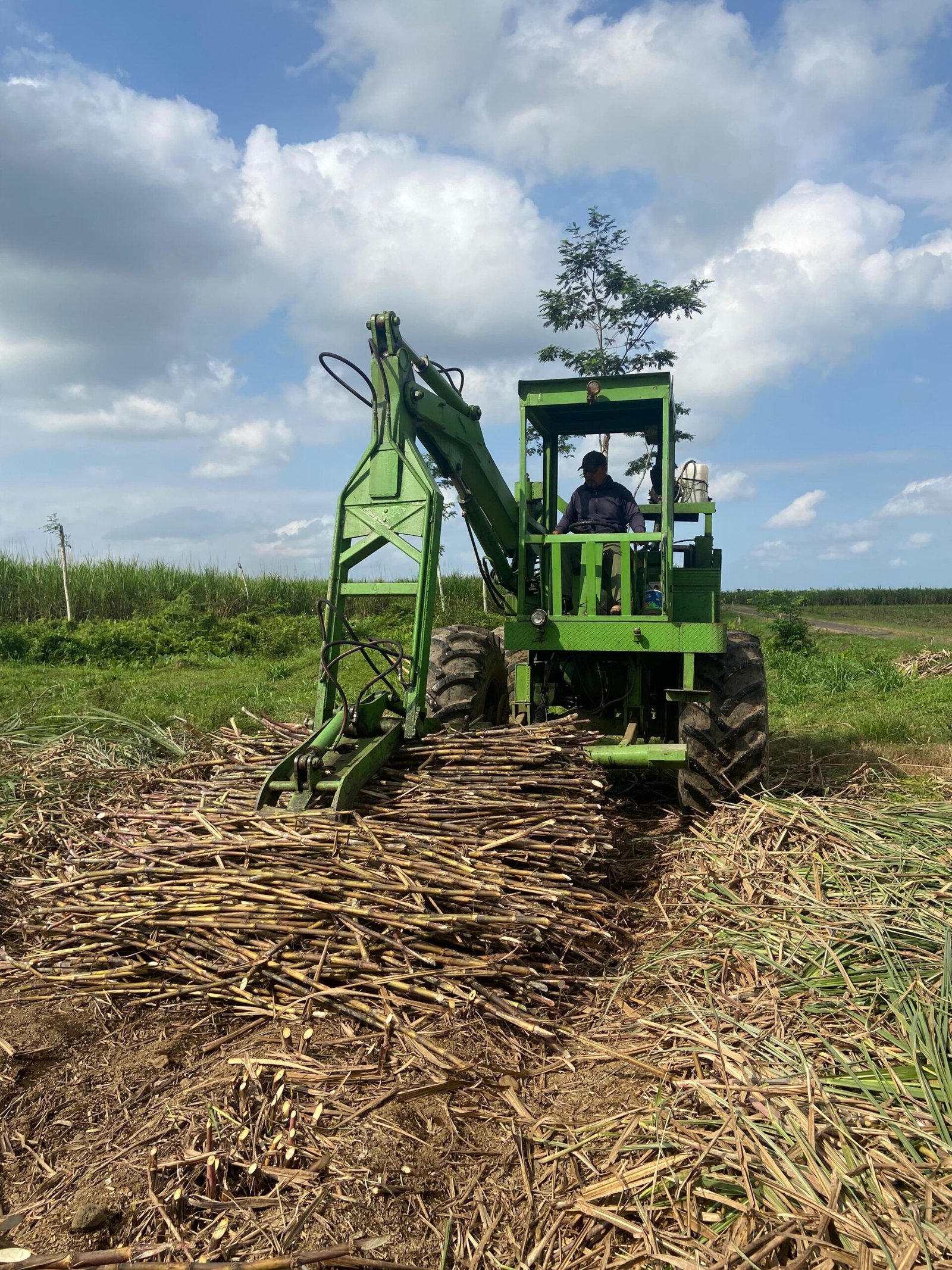 Produktivitas Kebun Kalitelepak Meningkat 164 Persen untuk Dukung Swasembada Gula Nasional