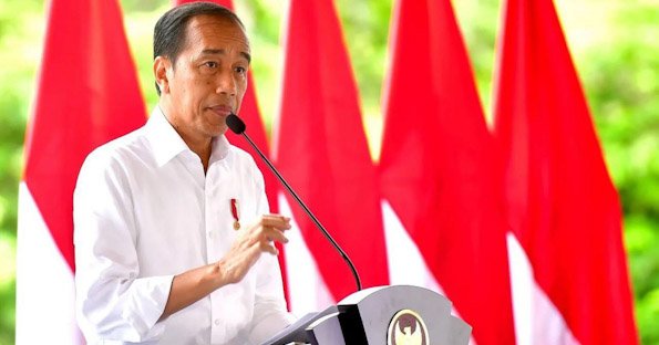 Presiden Jokowi Tetapkan Dua Kawasan Ekonomi Khusus, Perkuat Sektor Pendidikan dan Kesehatan