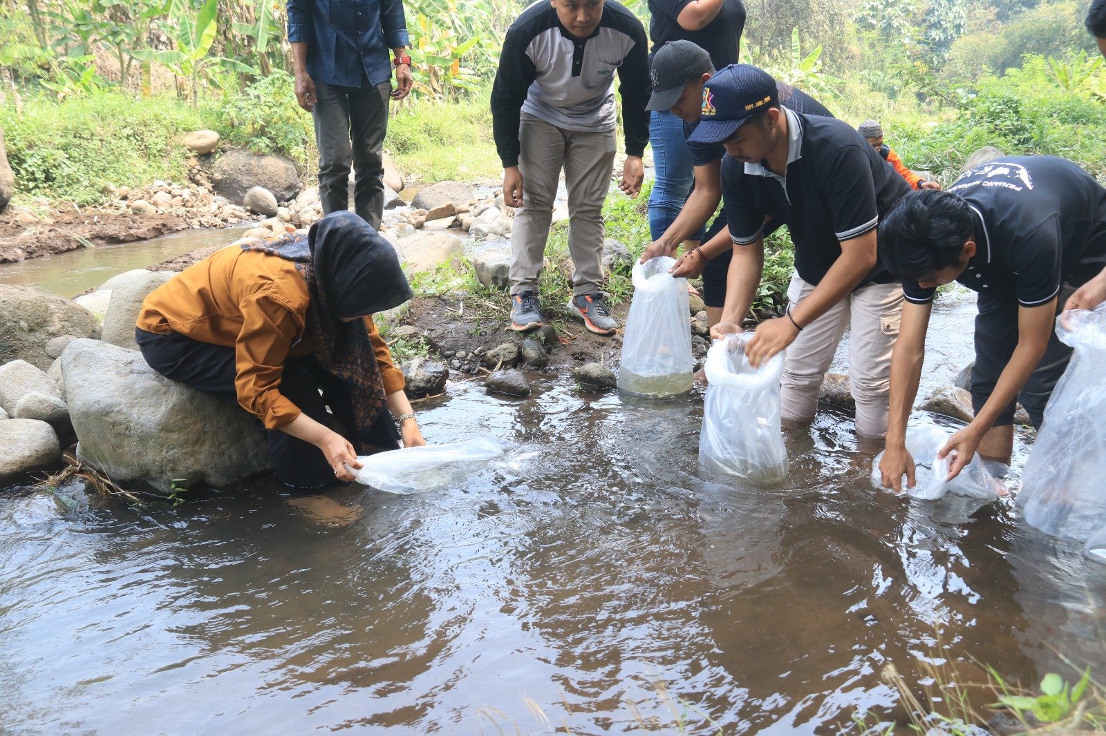 Pemkab Mojokerto Tebar 200 Ribu Benih Wader untuk Dibudidaya