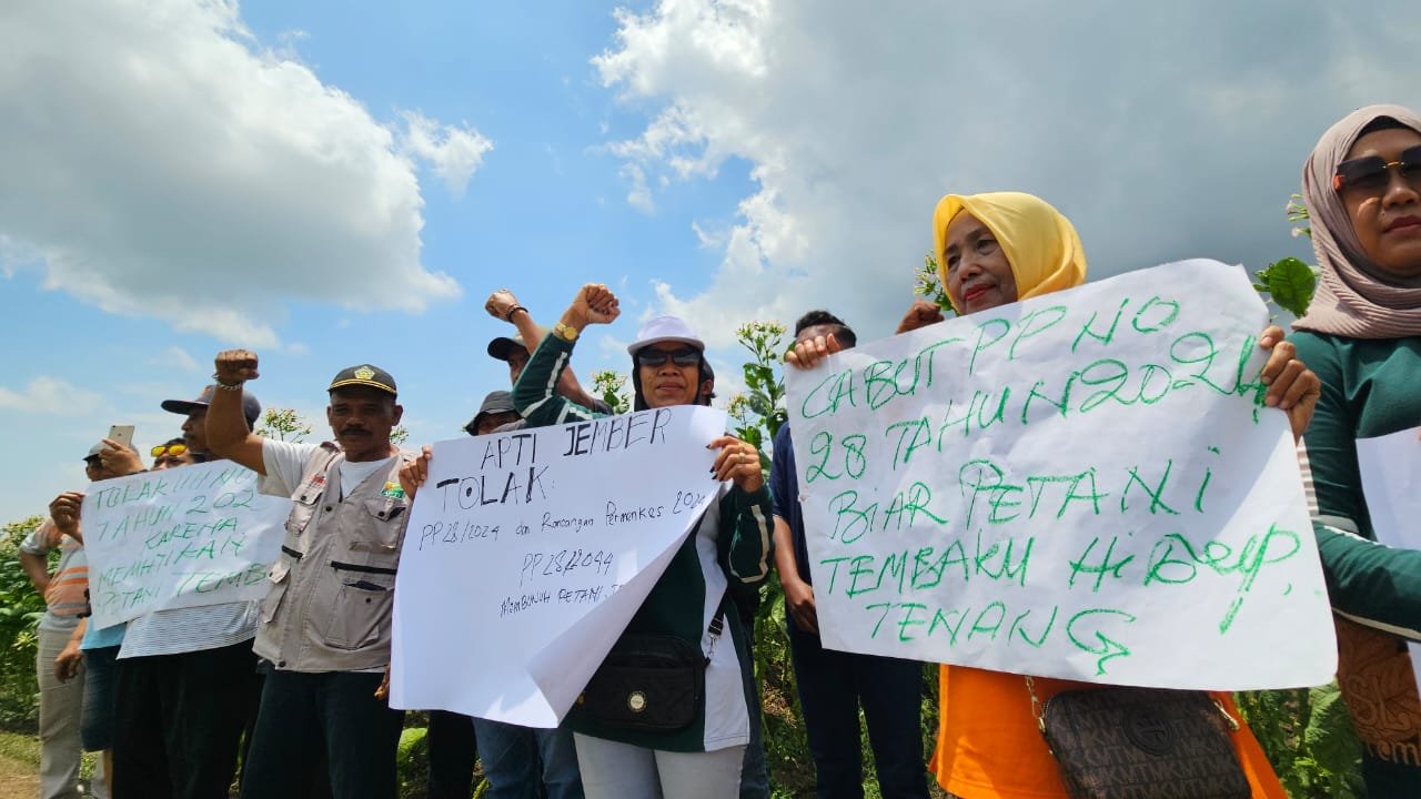 Petani dan Pakar Minta Revisi Pengaturan Tembakau dalam PP 28/2024