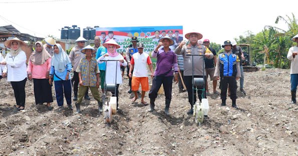 Dukung Ketahanan Pangan, Kapolres Pelabuhan Tanjung Perak Pimpin Penanaman Jagung di Tambak Wedi