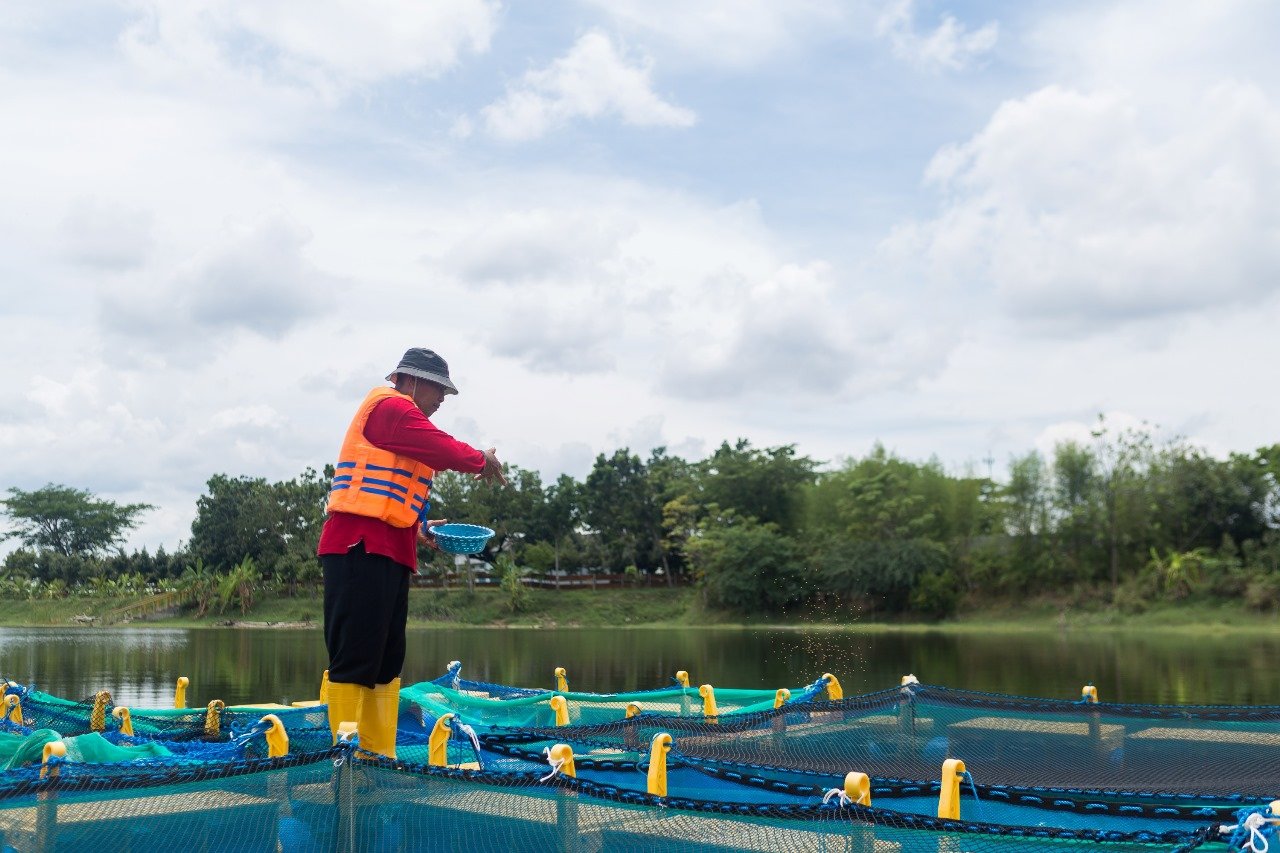 SIG Perkuat Keunggulan Operasional dengan Eco-Inovasi dan Inovasi Sosial