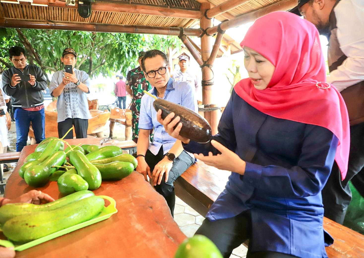 Gubernur Khofifah Kenalkan Alpukat Kelud Berukuran Jumbo Asli Kediri Jawa Timur