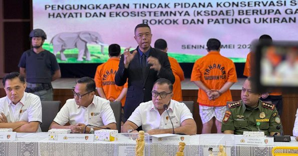 Dittipidter Bareskrim Polri Ungkap Perdagangan Ilegal Gading Gajah di Sukabumi dan Jakarta
