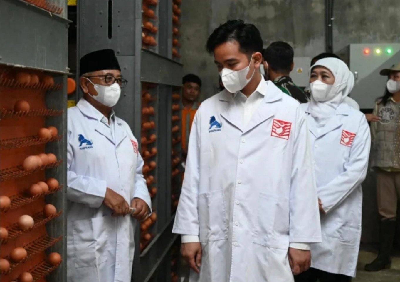 Wapres Dorong Inovasi dan Digitalisasi Sentra Telur Blitar