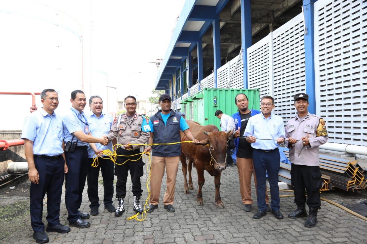 Idul Adha 1446 H, Bogasari Bagikan 66 Hewan Kurban