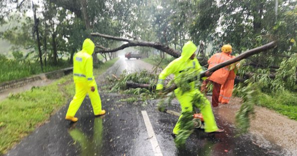 Respon Cepat Polisi dan BPBD Evakuasi Pohon Tumbang, Jalur Magetan–Bendo Kembali Lancar