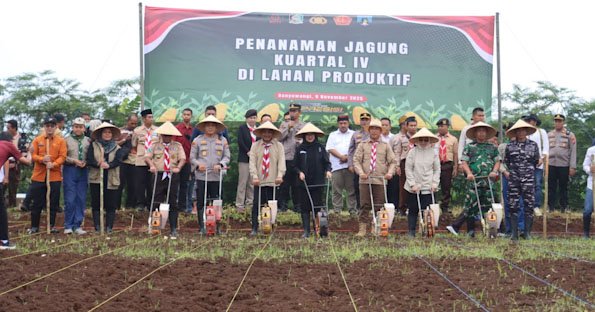 Polresta Banyuwangi Dorong Penguatan Ketahanan Pangan Lewat Penanaman Jagung Kuartal IV 2025