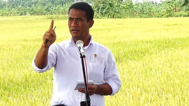 Perkuat Industri Pakan, Pemerintah Investasikan Rp 20 Triliun