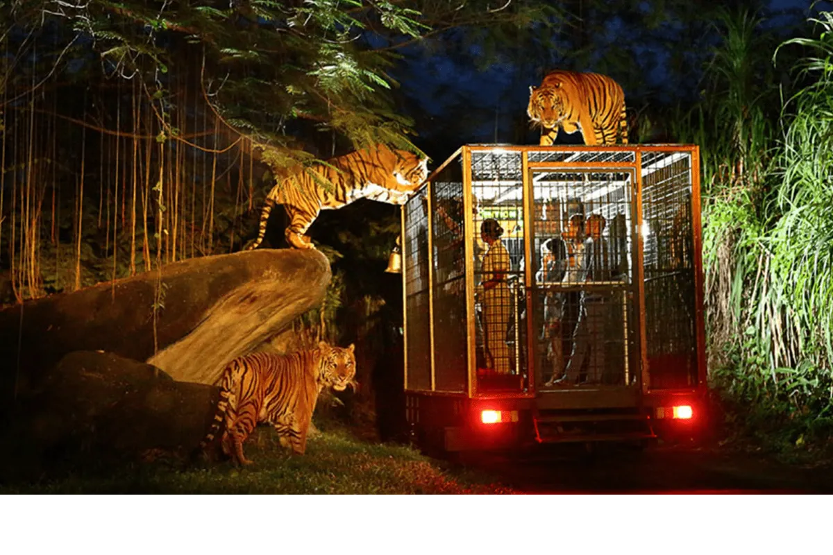 Pariwisata Indonesia Kian Menguat, Kunjungan Wisman Diproyeksi Lampaui Target 15 Juta