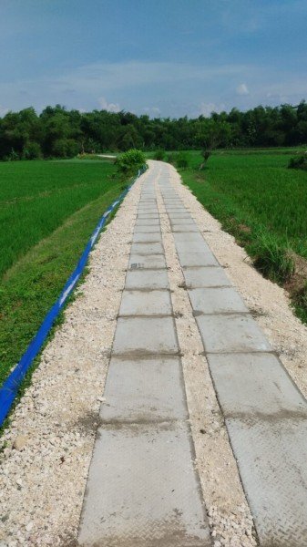 Pemkab Bojonegoro Siapkan Rp3 Miliar untuk Bangun 163 Titik Jalan Usaha Tani