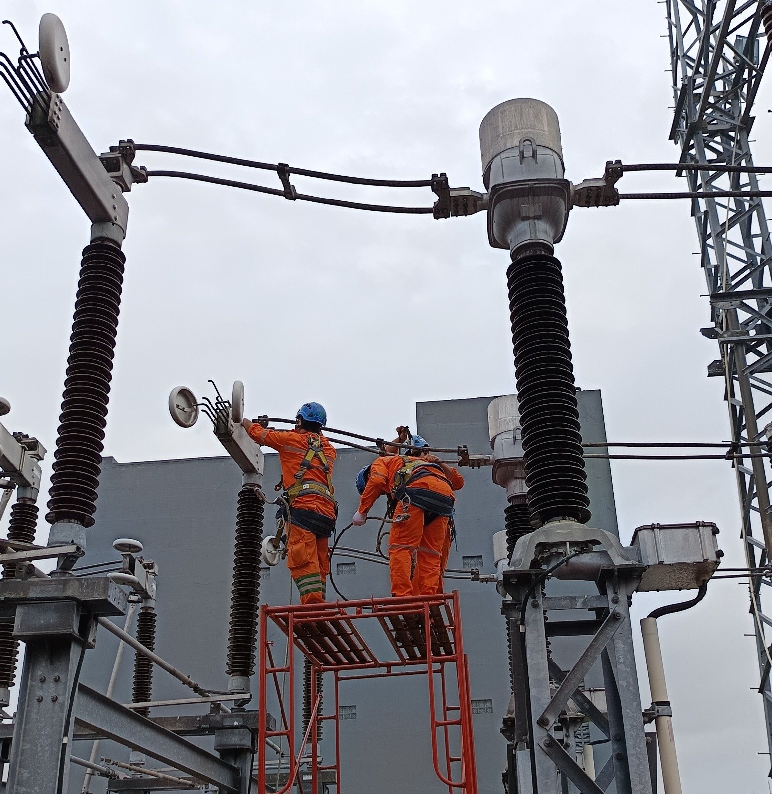 PLN Amankan Transmisi Listrik, Dua Hotspot di Surabaya–Malang Berhasil Diatasi