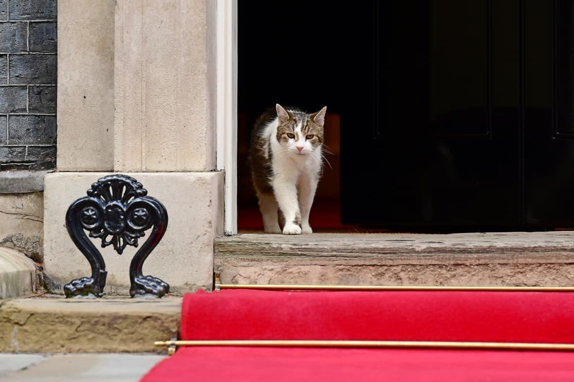 Bukan Hanya PM Inggris, Prabowo Juga “Disambut” Larry the Cat di Downing Street