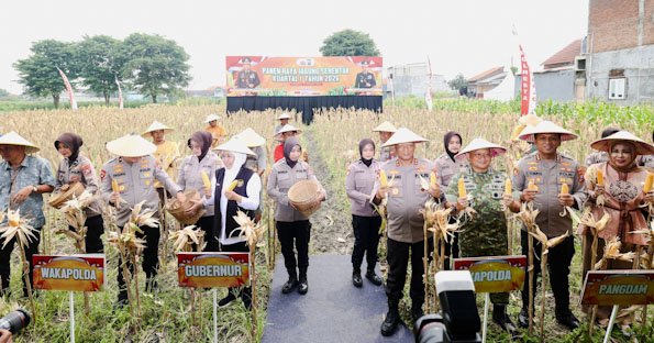 Polda Jatim Gelar Panen Raya Jagung Serentak Kuartal IV di Sidoarjo
