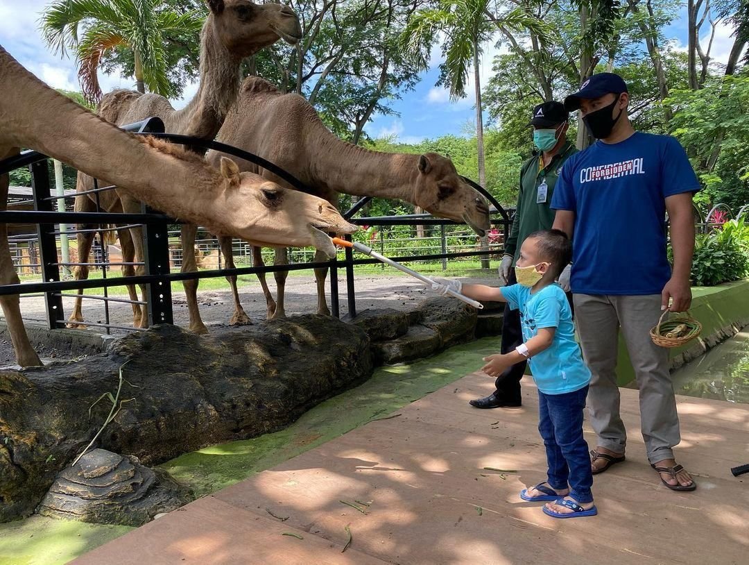 Pengunjung KBS Naik hingga 10 Persen, Wahana Baru dan Program Konservasi Jadi Daya Tarik