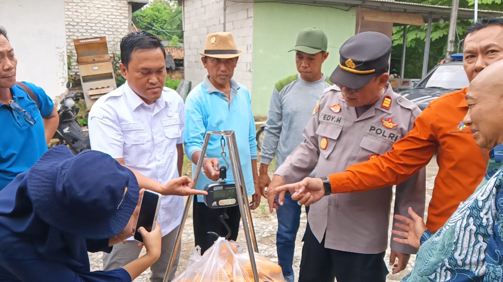 Dukung Pangan Nasional 2026, Poktan Suka Maju Saronggi Sukses Panen Jagung Varietas Baru