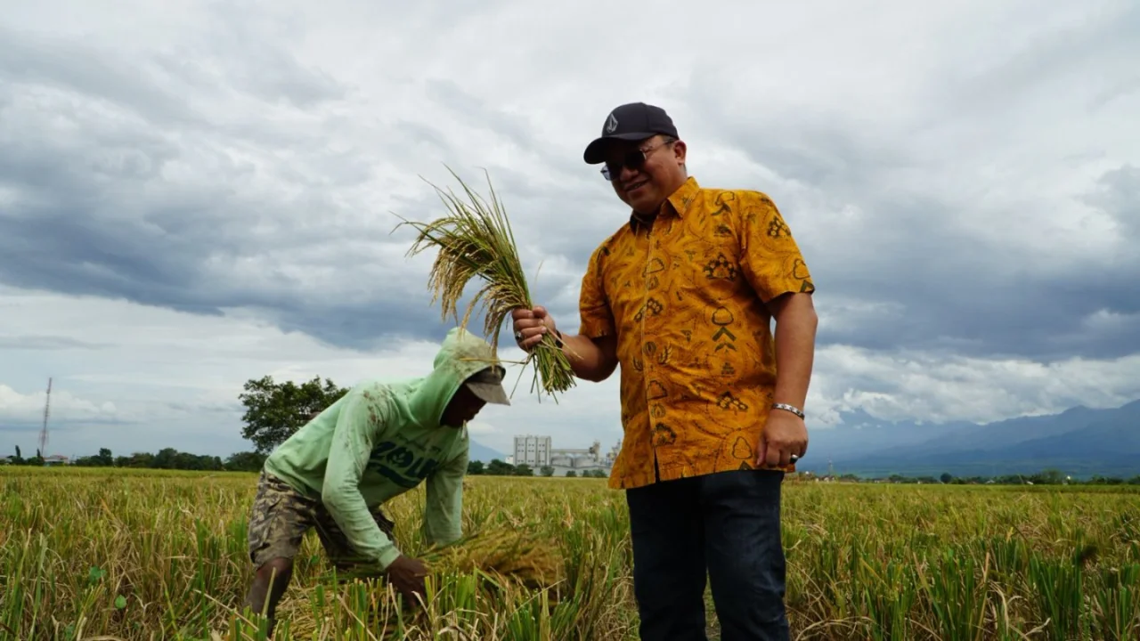 Tertinggi Nasional, Serapan Gabah Perum Bulog Jatim Tembus 588 Ribu Ton