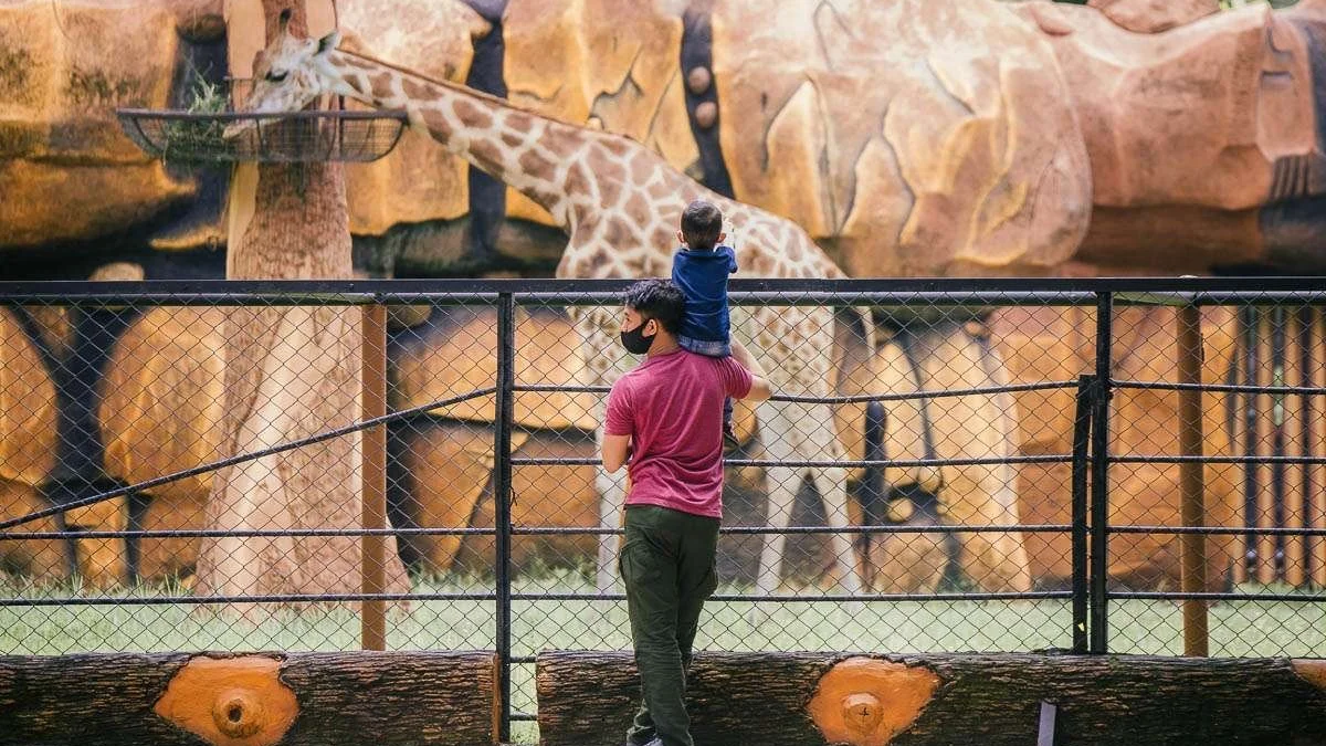 Libur Lebaran 2026, Kebun Binatang Surabaya Diserbu 40 Ribu Pengunjung