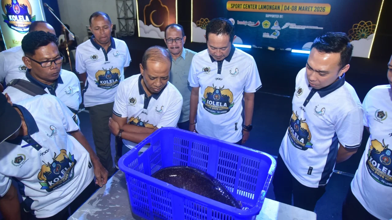 Perdana Digelar, Kontes Lele Lamongan Perkuat Potensi dan Ekonomi Daerah
