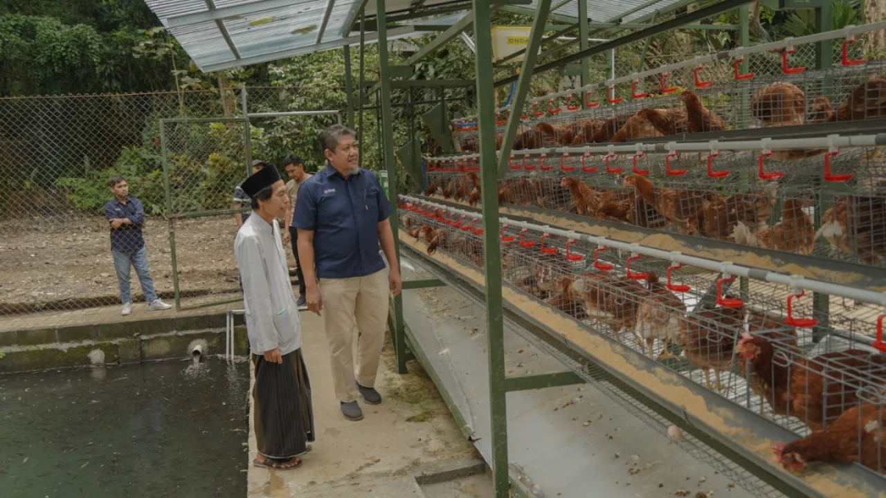 Smart Kandang Telkom University Surabaya, Bantu Modernisasi Peternakan Ayam