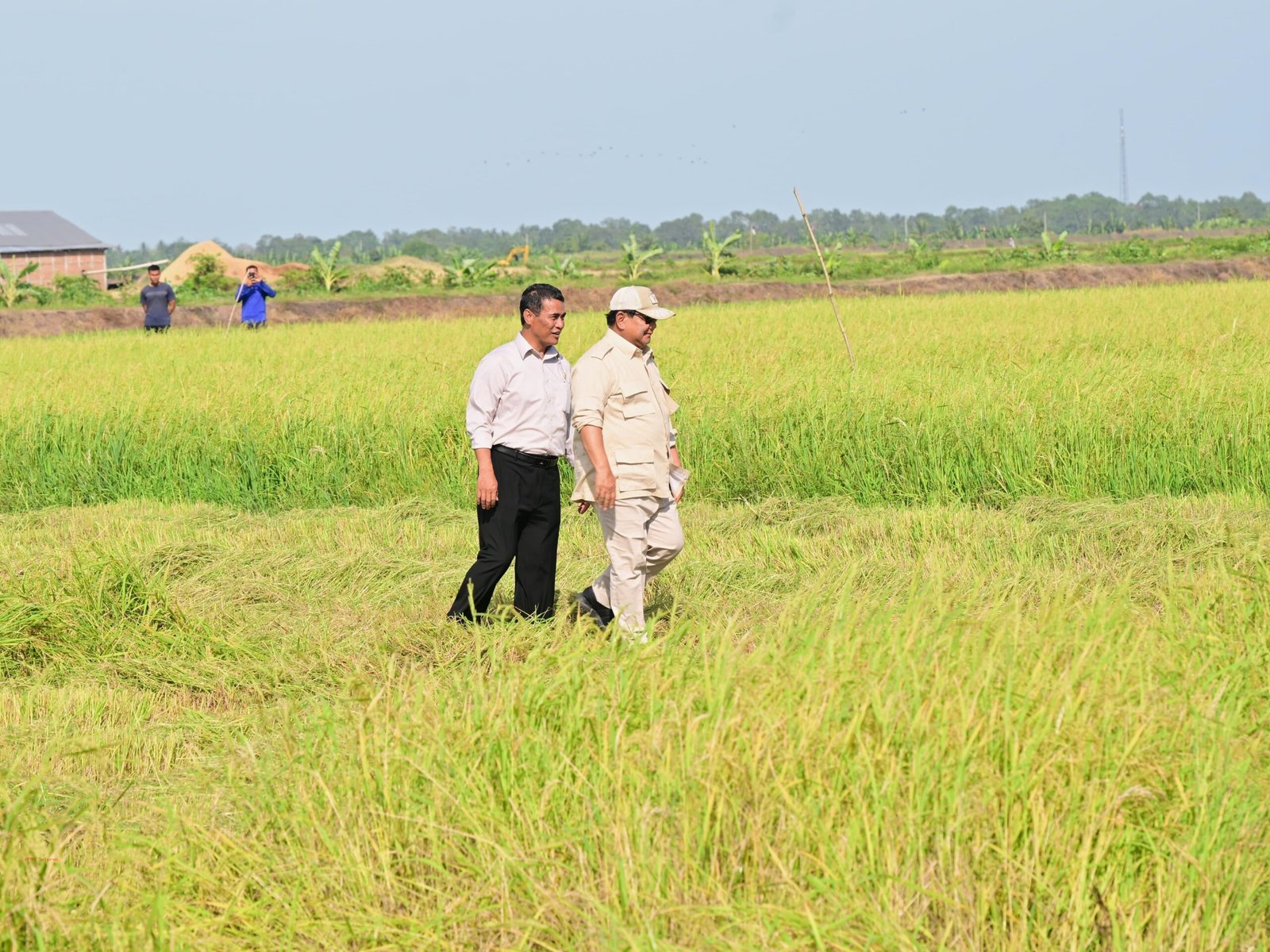 Hadapi El Nino, Pemerintah Pastikan Stok Pangan RI Aman 11 Bulan