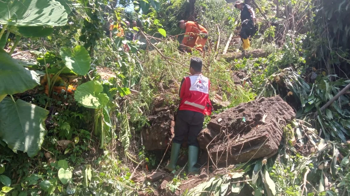 Hujan Deras Picu Longsor di Kepatihan, Tim Tanggap Darurat PMI Jember Terjun ke Lapangan
