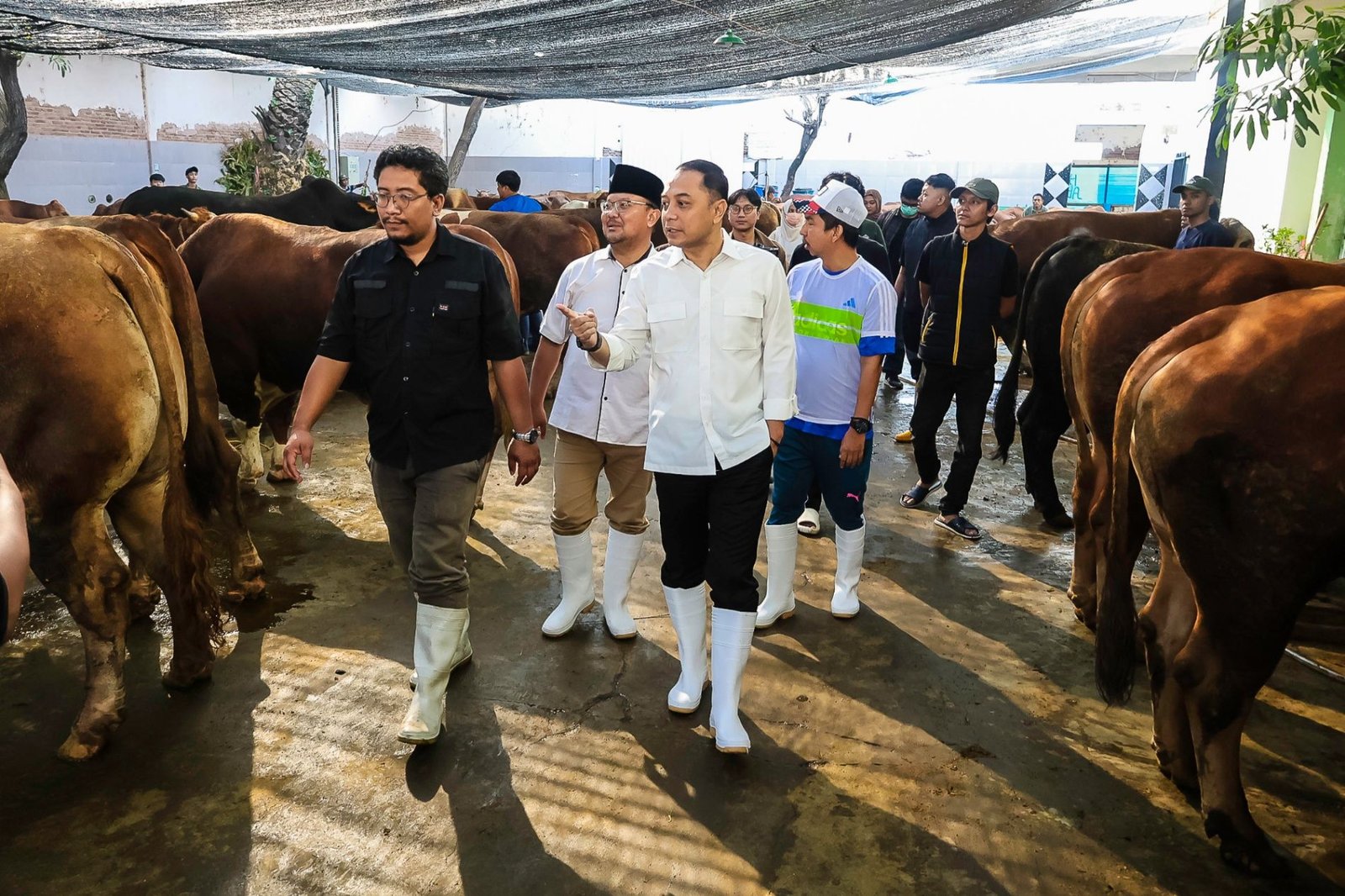 Jelang Idul Adha 2026, Eri Cahyadi Perketat Pengawasan Hewan Kurban di Surabaya