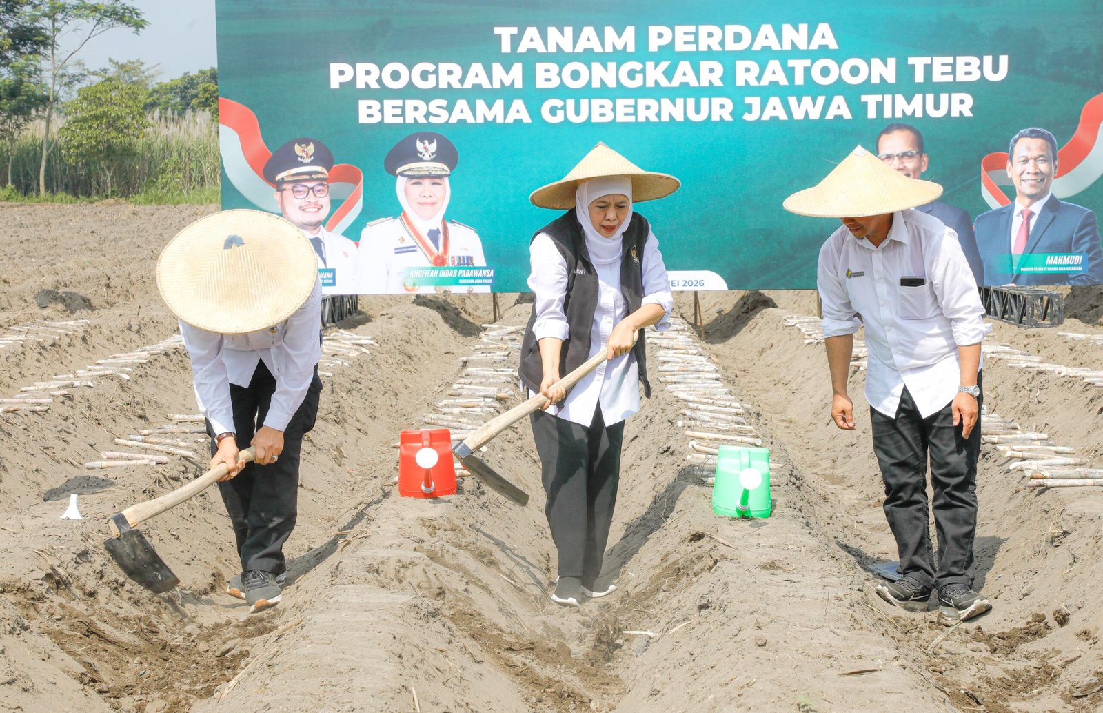 Khofifah Pimpin Tanam Perdana Tebu di Kediri, Jatim Perkuat Target Swasembada Gula Nasional