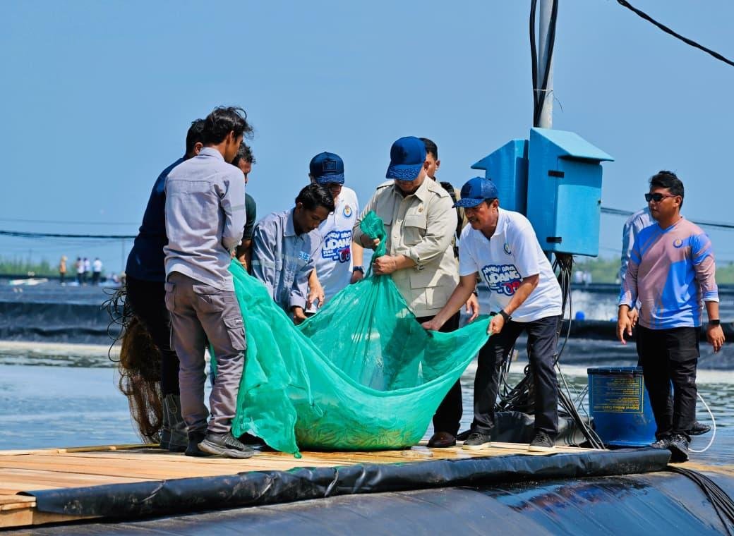 Prabowo Panen Raya Udang di Kebumen, Produksi Tambak Modern Capai Rp134 Miliar per Tahun