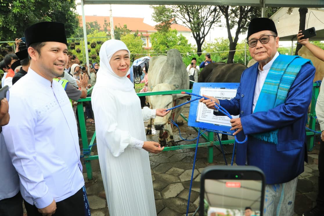 Masjid Al Akbar Surabaya Sembelih 23 Sapi dan 49 Kambing Kurban, Distribusi Daging Digelar Kamis