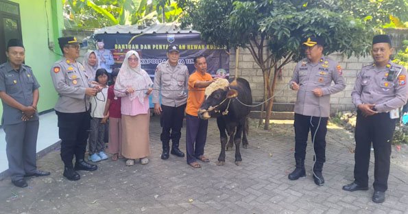 Kapolres Jombang Serahkan Sapi Kurban dari Kapolda Jatim untuk Dua Ponpes