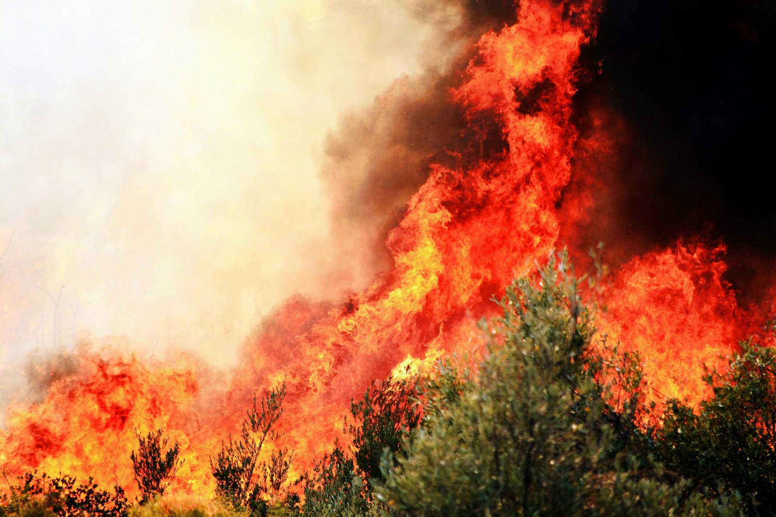 Pegunungan Tuscany Italia Terbakar: 3.500 Orang Mengungsi, 400 Hektar Lahan Hangus